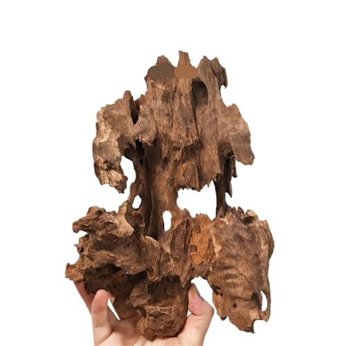 IKFGTJRE Aquarium Treibholz Treibholz Aquarium Fisch Ruheloch Holz Extra Großes Holz Aquarium Garnelen Holz F Treibholz Baumstamm(20-30cm 3pcs) von IKFGTJRE