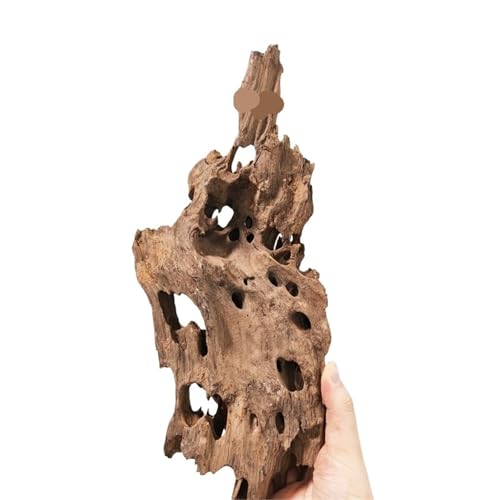 IKFGTJRE Aquarium Treibholz Treibholz Aquarium Fisch Ruheloch Holz Extra Großes Holz Aquarium Garnelen Holz F Treibholz Baumstamm(30-40cm 3pcs) von IKFGTJRE