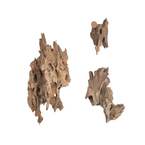 IKFGTJRE Aquarium Treibholz Treibholz Aquarium Fisch Ruheloch Holz Extra Großes Holz Aquarium Garnelen Holz F Treibholz Baumstamm(5-20cm-3pcs Mix) von IKFGTJRE