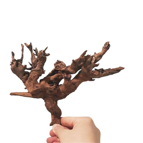 IKFGTJRE Aquarium Treibholz Treibholz Aquarium Holz Großes Treibholz Aquarium Fisch Tank Baumstamm Aquarium Holz Extra Groß for Zuhause(20-25cm-5pcs) von IKFGTJRE