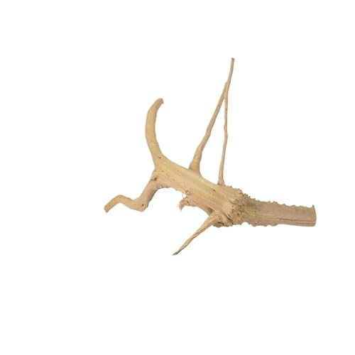 IKFGTJRE Aquarium Treibholz Treibholz Baumstamm 1PC Micro Landschaft Reptil Zylinder Fisch Tank Ornament Aquarium Dekoration Kuckuckswurzeln Totholz(15-20cm) von IKFGTJRE