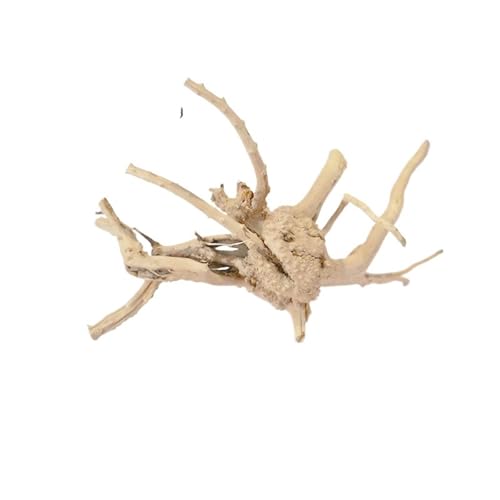 IKFGTJRE Aquarium Treibholz Treibholz Baumstamm 1PC Micro Landschaft Reptil Zylinder Fisch Tank Ornament Aquarium Dekoration Kuckuckswurzeln Totholz(20-25cm) von IKFGTJRE