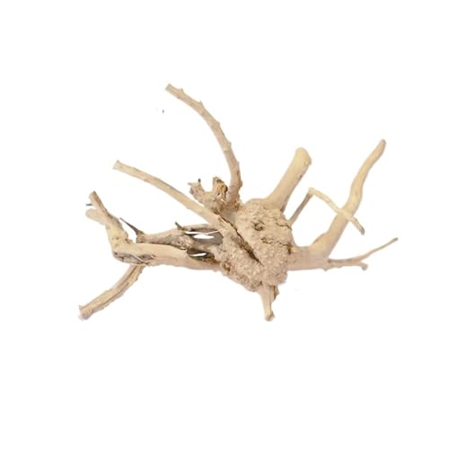 IKFGTJRE Aquarium Treibholz Treibholz Baumstamm 1PC Micro Landschaft Reptil Zylinder Fisch Tank Ornament Aquarium Dekoration Kuckuckswurzeln Totholz(25-30cm) von IKFGTJRE