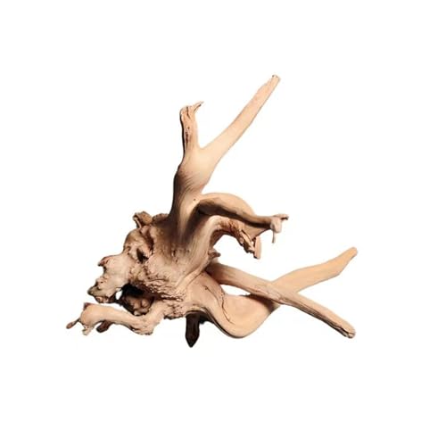 IKFGTJRE Aquarium Treibholz Treibholz Baumstamm 1PC Micro Landschaft Reptil Zylinder Fisch Tank Ornament Aquarium Dekoration Kuckuckswurzeln Totholz(30-40cm) von IKFGTJRE