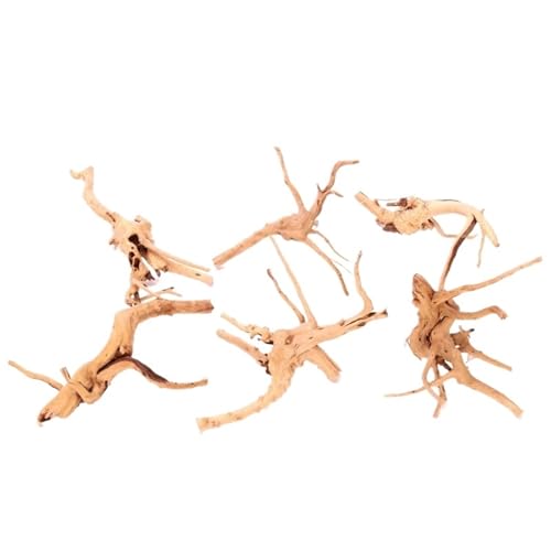 IKFGTJRE Aquarium Treibholz Treibholz Kuckuckswurzeln Totholz Baumstamm Mikrolandschaft Reptil Zylinder Aquarium Ornament Aquarium Dekor(15-20cm(3PCs)) von IKFGTJRE