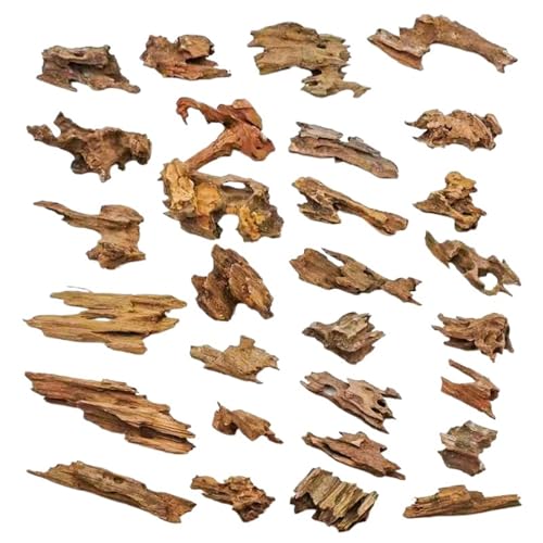 IKFGTJRE Aquarium Treibholz Treibholz-Ornamente, 1 Stück, 5–15 cm, zufälliges kleines Garnelenholz mit Loch, Mikro-Landschaftsbau, DIY-Aquarium-Dekoration von IKFGTJRE