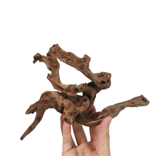 IKFGTJRE Aquarium Treibholz Treibholz-Wohndekor, 5/20/30 cm, Korallenholz, Kletterer, Reptilien, Eidechsen, Kork, Haustier-Dekoration, Treibholz, Fischtank, Treibholzbaum(10-15cm-5pcs) von IKFGTJRE