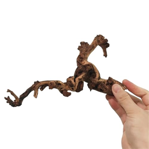 IKFGTJRE Aquarium Treibholz Treibholz-Wohndekor, 5/20/30 cm, Korallenholz, Kletterer, Reptilien, Eidechsen, Kork, Haustier-Dekoration, Treibholz, Fischtank, Treibholzbaum(15-20cm-2pcs) von IKFGTJRE