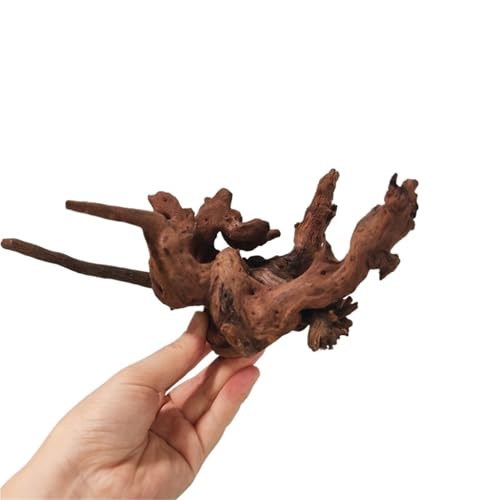 IKFGTJRE Aquarium Treibholz Treibholz-Wohndekor, 5/20/30 cm, Korallenholz, Kletterer, Reptilien, Eidechsen, Kork, Haustier-Dekoration, Treibholz, Fischtank, Treibholzbaum(15-20cm-5pcs) von IKFGTJRE