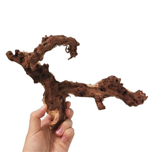 IKFGTJRE Aquarium Treibholz Treibholz-Wohndekor, 5/20/30 cm, Korallenholz, Kletterer, Reptilien, Eidechsen, Kork, Haustier-Dekoration, Treibholz, Fischtank, Treibholzbaum(25-30cm-1pcs) von IKFGTJRE