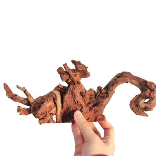 IKFGTJRE Aquarium Treibholz Treibholz-Wohndekor, 5/20/30 cm, Korallenholz, Kletterer, Reptilien, Eidechsen, Kork, Haustier-Dekoration, Treibholz, Fischtank, Treibholzbaum(25-30cm-2pcs) von IKFGTJRE