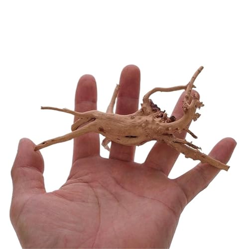 IKFGTJRE Aquarium Treibholz Treibholzbaum aus Holz, Dekoration for Aquarien, Pflanzenstamm, Baumstamm, Aquarium, Fisch, Landschaftsbau, Baumwurzeln, Ornamente(10-15CM) von IKFGTJRE