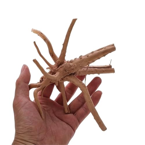 IKFGTJRE Aquarium Treibholz Treibholzbaum aus Holz, Dekoration for Aquarien, Pflanzenstamm, Baumstamm, Aquarium, Fisch, Landschaftsbau, Baumwurzeln, Ornamente(15-20CM) von IKFGTJRE