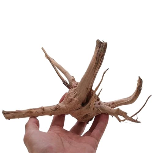 IKFGTJRE Aquarium Treibholz Treibholzbaum aus Holz, Dekoration for Aquarien, Pflanzenstamm, Baumstamm, Aquarium, Fisch, Landschaftsbau, Baumwurzeln, Ornamente(20-25CM) von IKFGTJRE