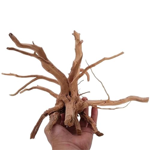 IKFGTJRE Aquarium Treibholz Treibholzbaum aus Holz, Dekoration for Aquarien, Pflanzenstamm, Baumstamm, Aquarium, Fisch, Landschaftsbau, Baumwurzeln, Ornamente(25-30CM) von IKFGTJRE