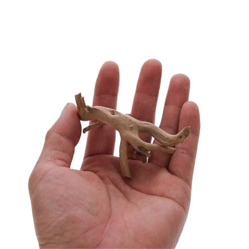 IKFGTJRE Aquarium Treibholz Treibholzbaum aus Holz, Dekoration for Aquarien, Pflanzenstamm, Baumstamm, Aquarium, Fisch, Landschaftsbau, Baumwurzeln, Ornamente(8-10CM) von IKFGTJRE