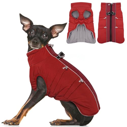 IKIPUKO Hundemantel, Größe XS, warmer Schneeanzug mit Reißverschluss, reflektierend, wasserabweisend, Rot IKIPUKO Hundemantel, Größe XS, warmer Schneeanzug mit Reißverschluss, reflektierend, wasserabweisend, Rot von IKIPUKO