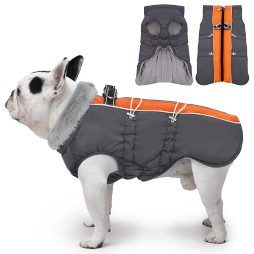 IKIPUKO Hundemantel – Winterjacke für große Hunde, warmer Schneeanzug mit Reißverschluss, reflektierend, wasserabweisend, Orange-Grau IKIPUKO Hundemantel – Winterjacke für große Hunde, warmer Schneeanzug mit Reißverschluss, reflektierend, wasserabweisend, Orange-Grau von IKIPUKO