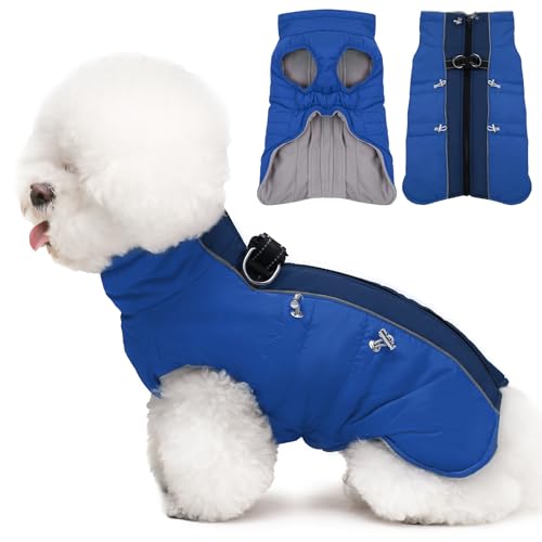 IKIPUKO Kleiner Hundemantel – Winterjacke, warmer Schneeanzug mit Reißverschluss, reflektierend, wasserabweisend, Königsblau IKIPUKO Kleiner Hundemantel – Winterjacke, warmer Schneeanzug mit Reißverschluss, reflektierend, wasserabweisend, Königsblau von IKIPUKO