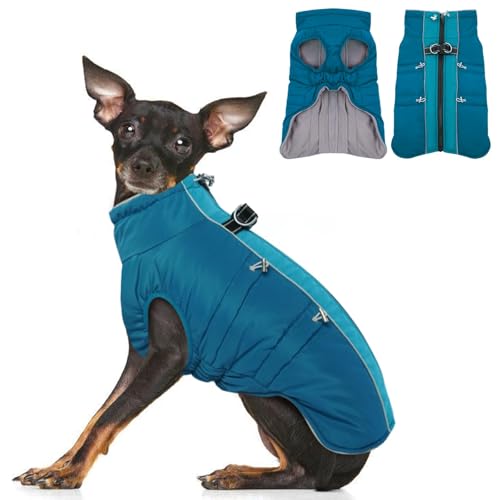 IKIPUKO Winterjacke - XS Warm Reißverschluss Schneeanzug Geschirr Weste Reflektierend Wasserabweisend Mantel für Kleine Hunde Chihuahua Teetasse Welpe Grün von IKIPUKO