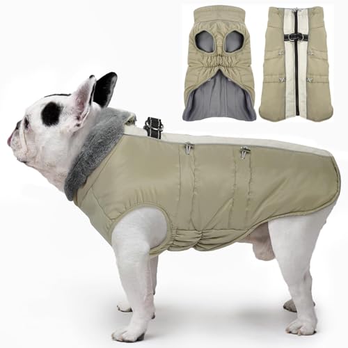 IKIPUKO Winterjacke für Hunde, groß, warm, mit Reißverschluss, reflektierend, wasserabweisend, Aprikose IKIPUKO Winterjacke für Hunde, groß, warm, mit Reißverschluss, reflektierend, wasserabweisend, Aprikose von IKIPUKO