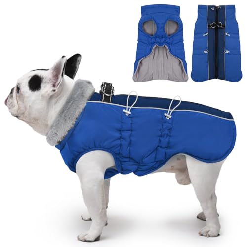 IKIPUKO Winterjacke für Hunde, groß, warm, mit Reißverschluss, reflektierend, wasserabweisend, Königsblau IKIPUKO Winterjacke für Hunde, groß, warm, mit Reißverschluss, reflektierend, wasserabweisend, Königsblau von IKIPUKO