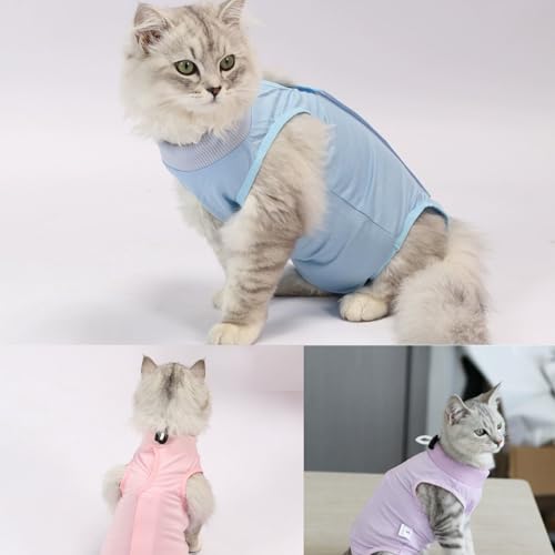 Katzen-Genesungsanzug für kastrierte Bauchwunden, weiblich, Katzen-Einteiler für Katzen nach Operationen, zur Genesung, atmungsaktive Alternative, Kätzchen-Einteiler für Katzen, Anti-Lecken, Größe M, Katzen-Genesungsanzug für kastrierte Bauchwunden, weiblich, Katzen-Einteiler für Katzen nach Operationen, zur Genesung, atmungsaktive Alternative, Kätzchen-Einteiler für Katzen, Anti-Lecken, Größe M, von IKiKiCubee
