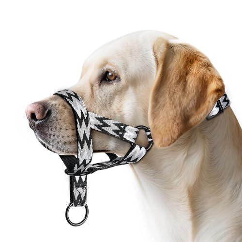 Hundehalfter mit Buchstabenmuster, Hundehalsband mit Weichem Nylon, Bequeme Passform für Kleine, Mittlere und Große Hunde, Verstellbar, Verhindert das Ziehen(M, Wstil Schwarz) von ILEPARK