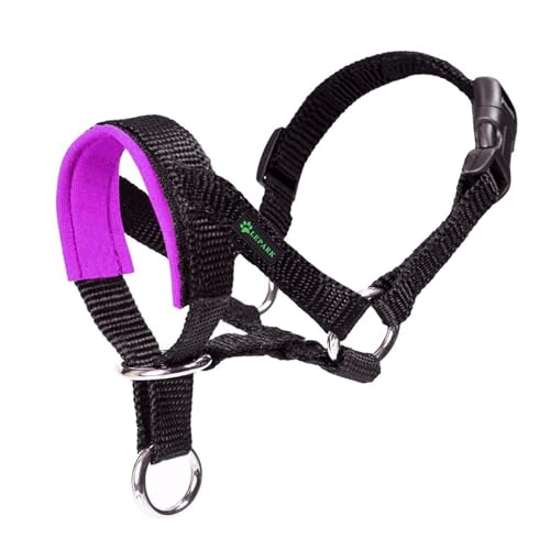 ILEPARK Hundehalfter Mit Gepolstertem Stoff, Halfterhalsband Für Hunde, Verstellbar Und Ziehen verhindert(M, Lila) von ILEPARK