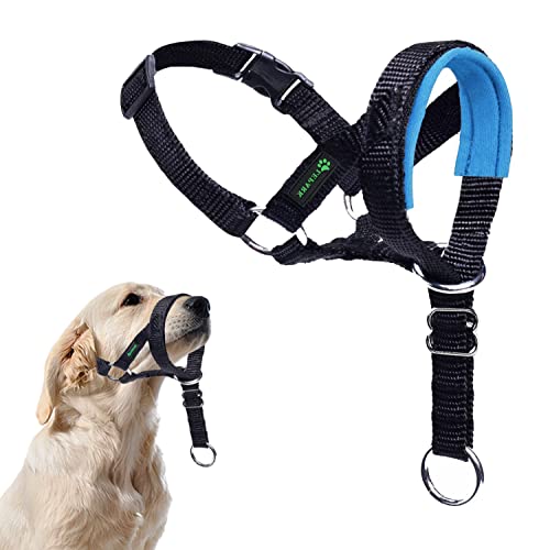 ILEPARK Hundehalfter mit Sicherheitsgurt, Kopfgeschirr für Hunde, um das Ziehen zu stoppen, verstellbar und leicht zu kontrollieren (L, Blau) von ILEPARK