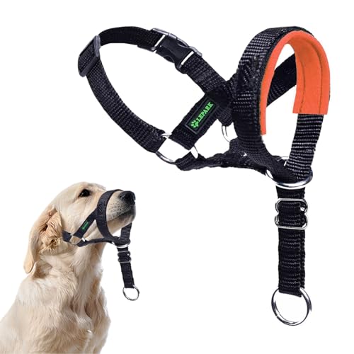 ILEPARK Hundehalfter mit Sicherheitsgurt, Kopfgeschirr für Hunde, um das Ziehen zu stoppen, verstellbar und leicht zu kontrollieren (M, Orange) von ILEPARK