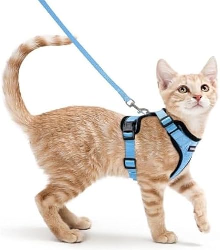 Fellnasenstube - SafeCat™ Katzengeschirr Ausbruchsicher mit Leine (Babyblau,M) von ILESTDG