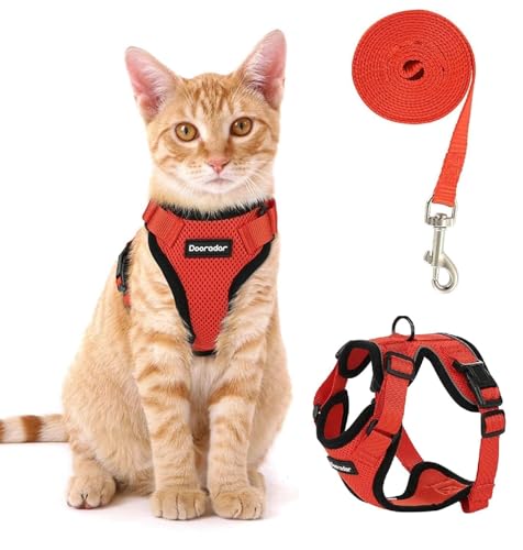 Fellnasenstube - SafeCat™ Katzengeschirr Ausbruchsicher mit Leine (Rot,M) von ILESTDG