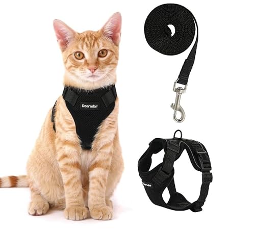 Fellnasenstube - SafeCat™ Katzengeschirr Ausbruchsicher mit Leine (Schwarz,M) von ILESTDG