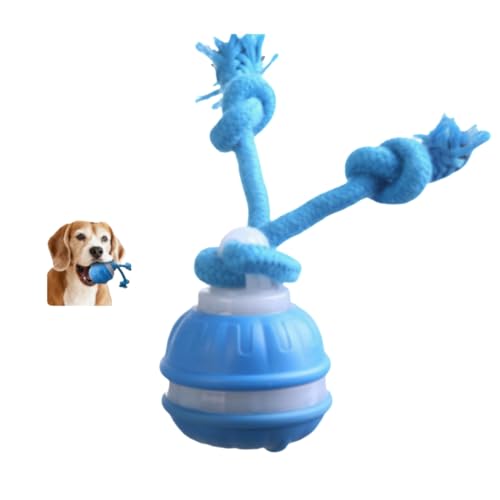 ILESTDG 2025 Neu Power Tail 2.0 Dog Toy - Interaktives Hundespielzeug, Magic Ball Für Hunde, Dog Spiel Ball (Blau) von ILESTDG