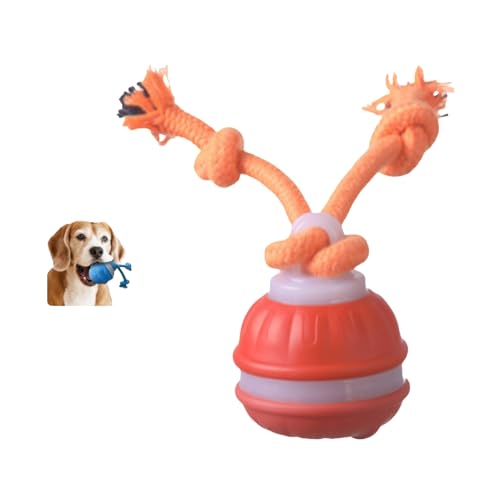 ILESTDG 2025 Neu Power Tail 2.0 Dog Toy - Interaktives Hundespielzeug, Magic Ball Für Hunde, Dog Spiel Ball (Orange) von ILESTDG