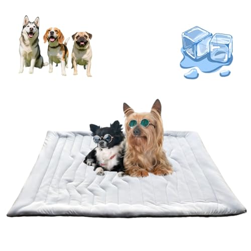 ILESTDG Dr.Pfoten Pfotenchill™ Die Innovative Kühlmatte Für Hunde – Selbstkühlend, Ideal Bei Hitze (XL(150 * 101CM)) von ILESTDG