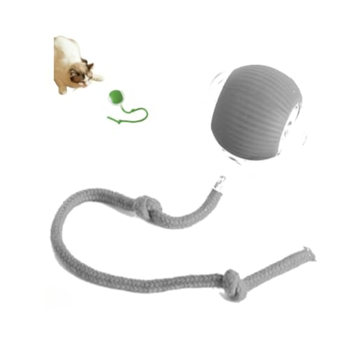 ILESTDG Hixfy Interactive Pet Ball Power - Magic Für Katzen Hunde, Interaktives Katzenspielzeug Hundespielzeug (1Grau) von ILESTDG