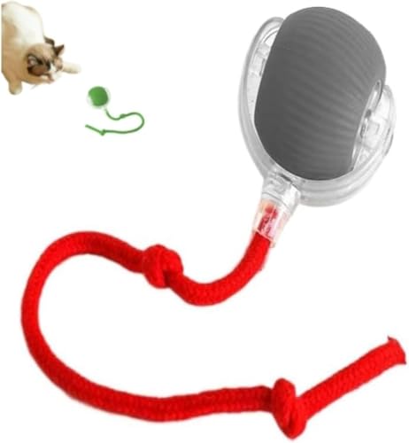 ILESTDG Hixfy Interactive Pet Ball Power - Magic Für Katzen Hunde, Interaktives Katzenspielzeug Hundespielzeug (1Grau-1) von ILESTDG