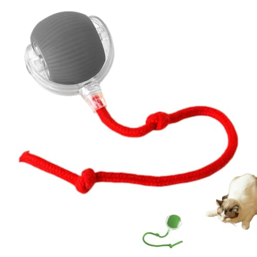 ILESTDG Magie-Ball - Interaktives Katzenspielzeug Hundespielzeug, Magic Ball Für Hunde (1Grau-1) von ILESTDG