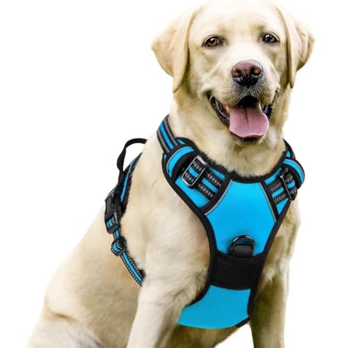 ILESTDG wuffy TrueSafe® Geschirr, No-Pull Dog Harness for Large Dogs, Adjustable Dog Harness, Chest Harness for Labrador (S,Pfauenblau Set) von ILESTDG