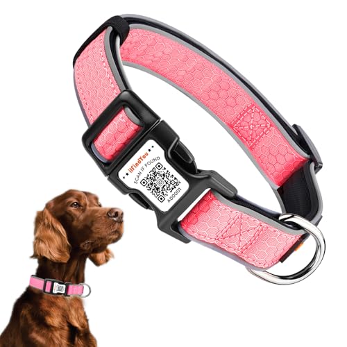 Personalisiertes Hundehalsband mit QR-Code und reflektierendem Streifen, Scannen, um Namen und Telefonnummer zu erhalten, Anti-Verlust-Sicherheitshalsband für Haustiere, geeignet für kleine Personalisiertes Hundehalsband mit QR-Code und reflektierendem Streifen, Scannen, um Namen und Telefonnummer zu erhalten, Anti-Verlust-Sicherheitshalsband für Haustiere, geeignet für kleine von ILFINDYOU