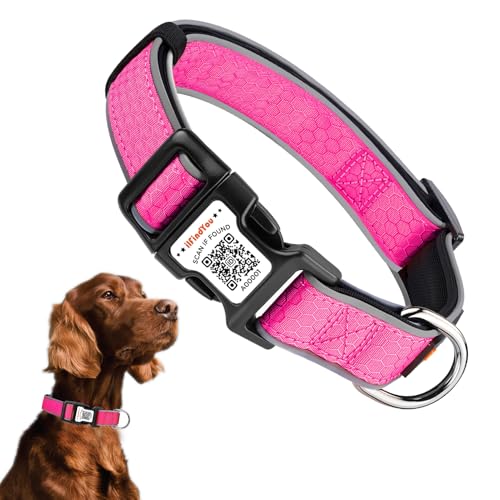 Personalisiertes Hundehalsband mit QR-Code und reflektierendem Streifen, Scannen, um Namen und Telefonnummer zu erhalten, Anti-Verlust-Sicherheitshalsband für Haustiere, geeignet für kleine Personalisiertes Hundehalsband mit QR-Code und reflektierendem Streifen, Scannen, um Namen und Telefonnummer zu erhalten, Anti-Verlust-Sicherheitshalsband für Haustiere, geeignet für kleine von ILFINDYOU