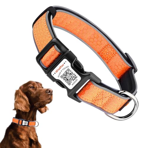 Personalisiertes Hundehalsband mit QR-Code und reflektierendem Streifen, Scannen, um Namen und Telefonnummer zu erhalten, Anti-Verlust-Sicherheitshalsband für Haustiere, geeignet für kleine Personalisiertes Hundehalsband mit QR-Code und reflektierendem Streifen, Scannen, um Namen und Telefonnummer zu erhalten, Anti-Verlust-Sicherheitshalsband für Haustiere, geeignet für kleine von ILFINDYOU