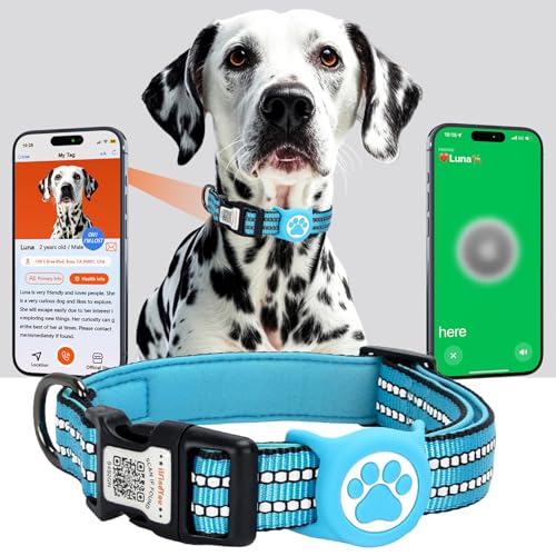 ilFindYou AirTag Hundehalsband, IP69 wasserdicht, Apple AirTag-Halterung für reflektierendes Hundehalsband, QR-Code, personalisierte Erkennungsmarken (Blau, klein) von ILFINDYOU