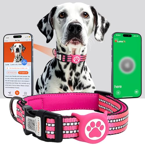 ilFindYou AirTag Hundehalsband, IP69 wasserdicht, Apple AirTag-Halterung für reflektierendes Hundehalsband, QR-Code, personalisierte Erkennungsmarken (Rosenrot, klein) von ILFINDYOU