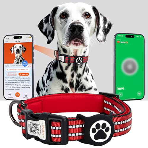 ilFindYou AirTag Hundehalsband, IP69 wasserdicht, Apple AirTag-Halterung für reflektierendes Hundehalsband, QR-Code, personalisierte Erkennungsmarken (Rot, klein) von ILFINDYOU