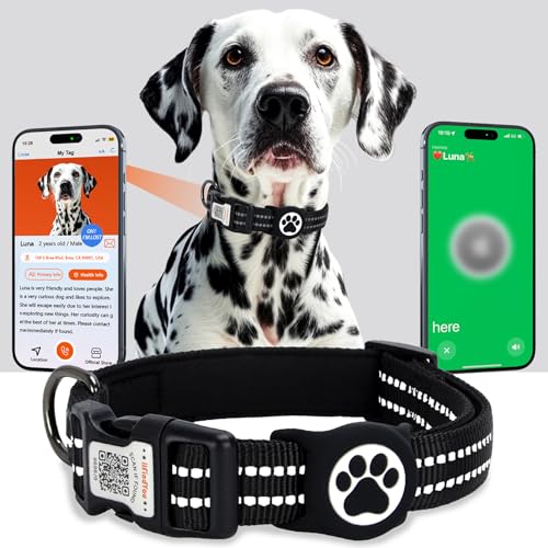 ilFindYou AirTag Hundehalsband, IP69 wasserdicht, Apple AirTag-Halterung für reflektierendes Hundehalsband, QR-Code, personalisierte Erkennungsmarken (Schwarz, M) von ILFINDYOU