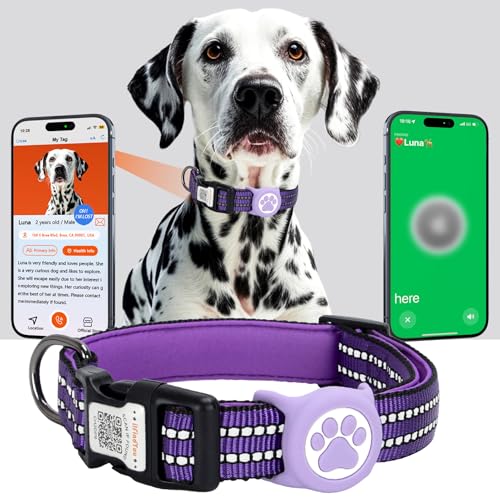 ilFindYou AirTag Hundehalsband, IP69 wasserdicht, Apple AirTag-Halterung für reflektierendes Hundehalsband, QR-Code, personalisierte Erkennungsmarken (lila, groß) von ILFINDYOU