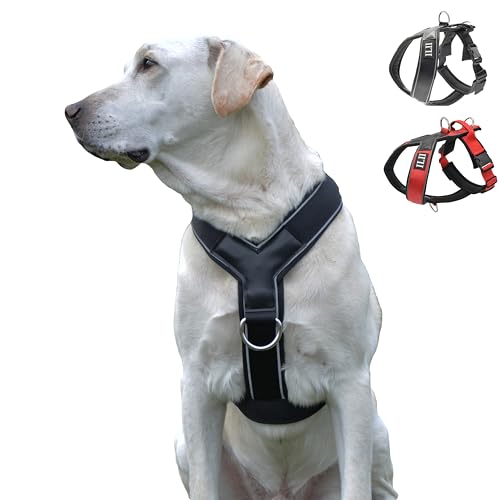ILII Y Hundegeschirr - Robust, Elegant Und Komfortabel, Einzigartiges Design Für Mittelgroße Und Große Hunde, Extrem Widerstandsfähiges Geschirr, Perfekt Für Den Sommer, Minimale Abdeckung von ILII